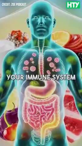 Health reform: olive oil as effective as Ibuprofen