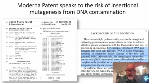 Presentation to NZ Royal Commission on mRNA Contamination of Blood Supply | Kevin McKernan