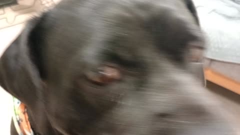 VID_20250629_144754951