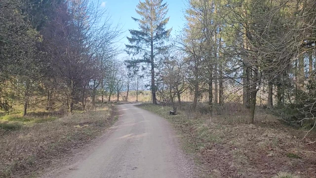 Reset2024-Bitcoin czy złoto o to jest pytanie.