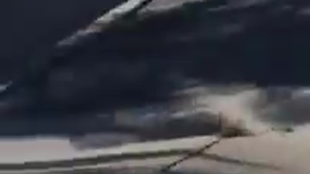 Poor Squirrel