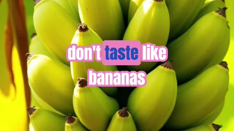The bananas are fake, don't eat them!!