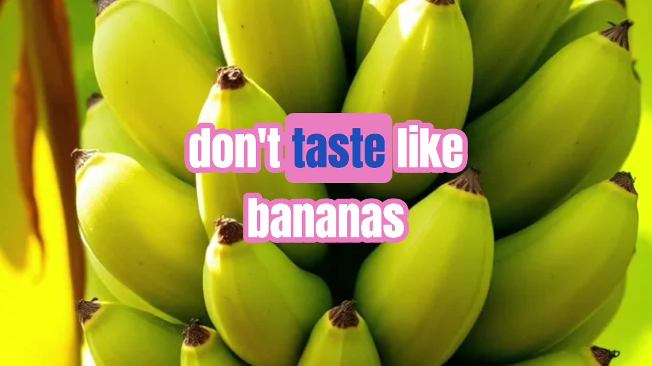 The bananas are fake, don't eat them!!