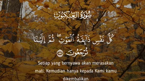 🔥Surah Al Ankabut 29:56-57🌍سورۃ العنکبوت💔#quran #viral #shorts #love #trending #youtubeshorts #short