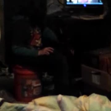 Bella chasing mouse pointer May 7,2007 OLD