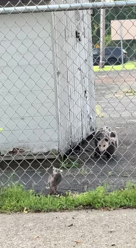 Kindergarten school transportation bus 😊