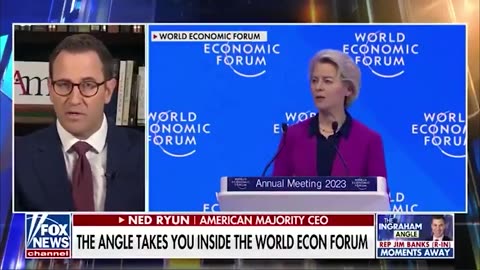 Fox News guest exposes the WEF's entire endgame in one minute. 🔥