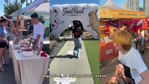 HOLY CAP - Lickable Treats for Cats Dogs by HOLY CAP — Kickstarter