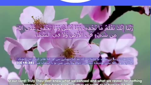 40 Rabbana Duas (Dua no 25)