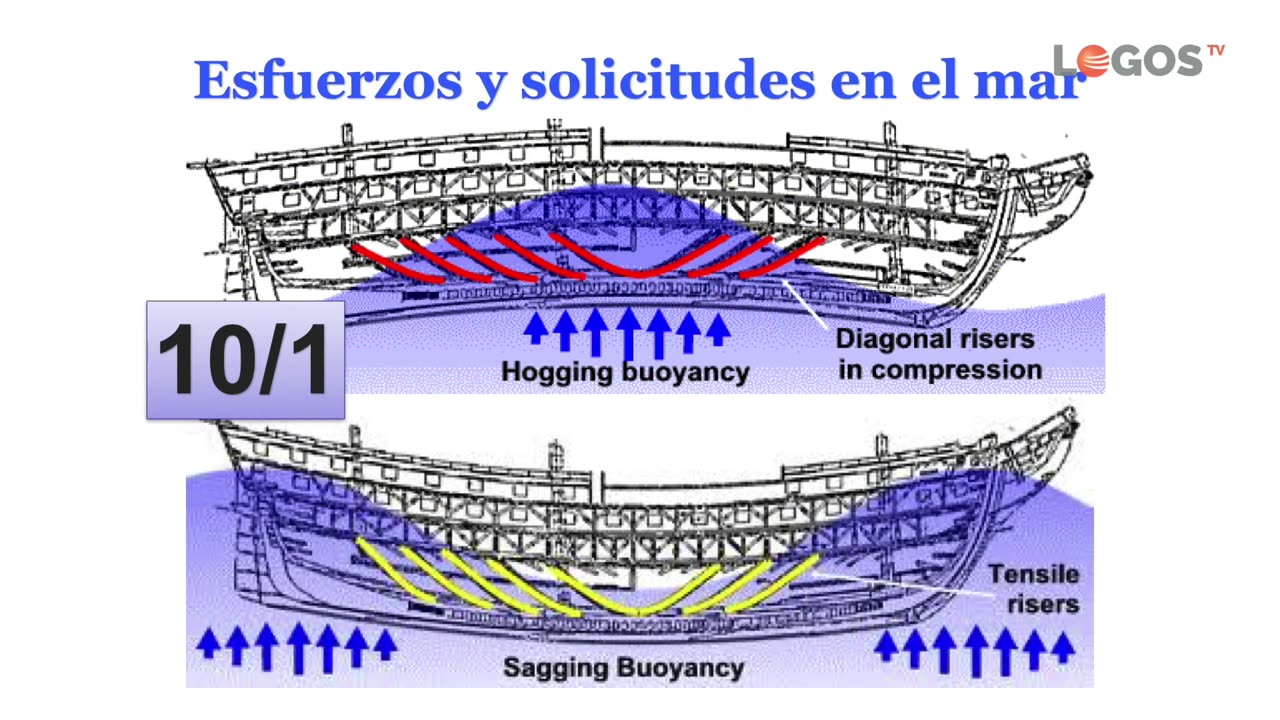6. Diluvio ¿sí o no? | Evidencias para creer