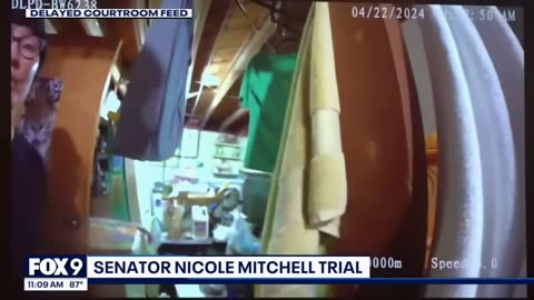 Police bodycam reveals Sen. Nicole Mitchell's burglary arrest