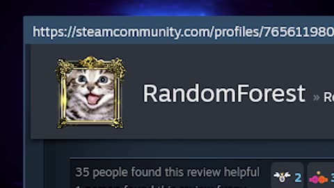 Meme Mayhem Steam Review