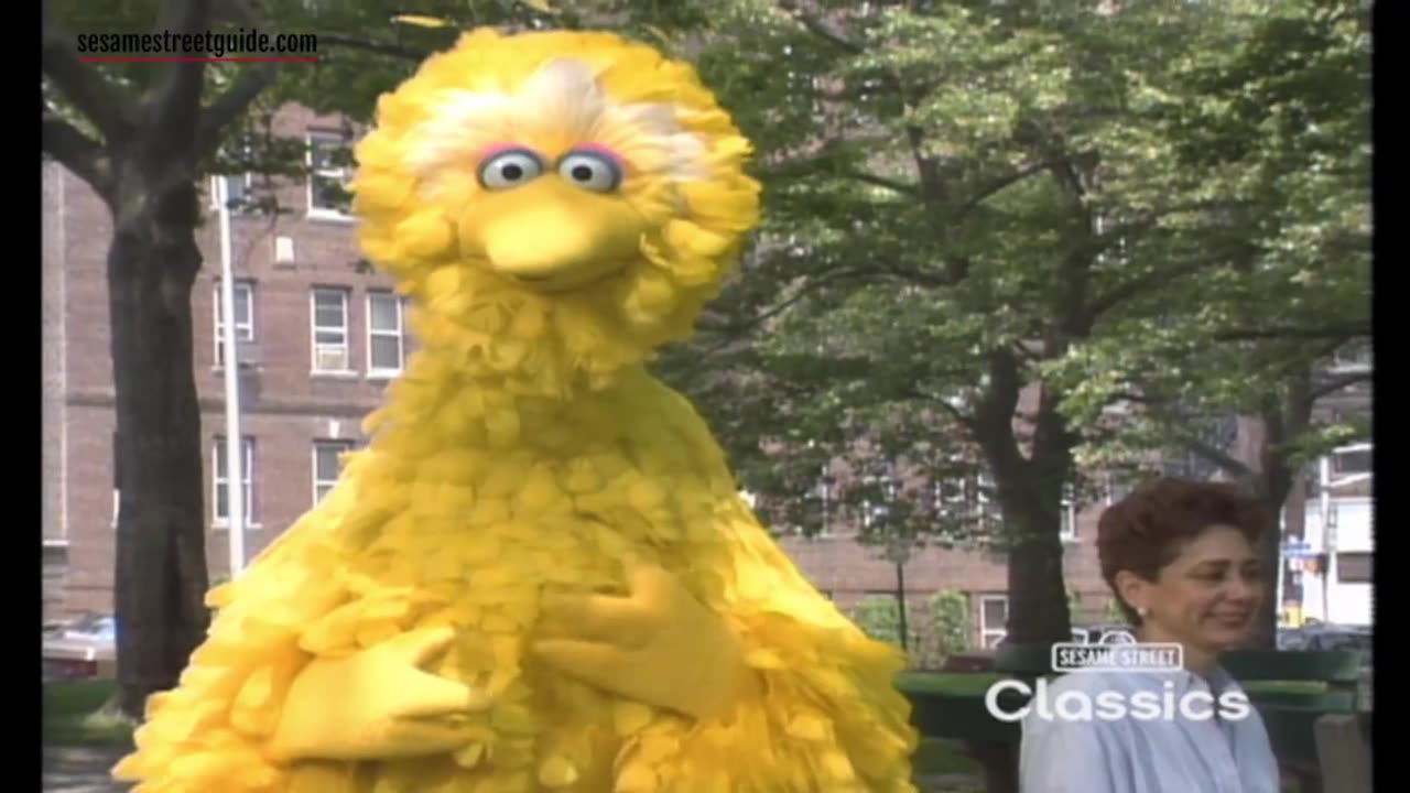 Big Bird's Video Postcards Union City, New Jersey Sesame Street Episode 3502