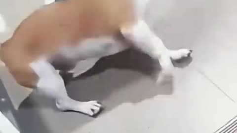 Hilarious video that you are suppose to watch