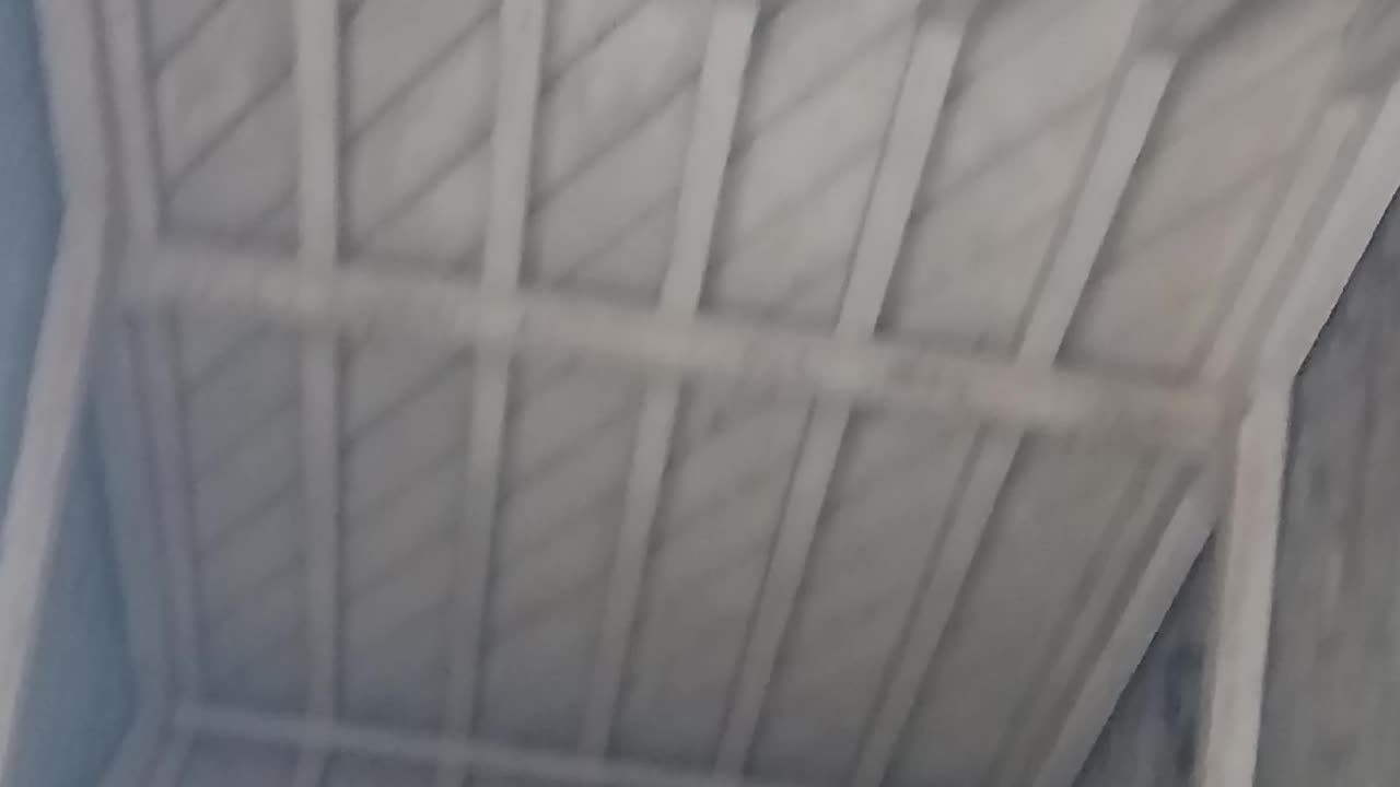 New bird nests outdoors yet out of the way