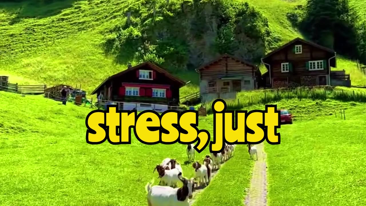 This Is Where I Wanna Be One Day… 💭 My Dream Life in Switzerland