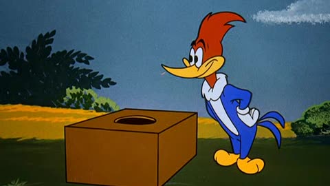 Woody Woodpecker and Friends - 1958x02 - Watch the Birdie