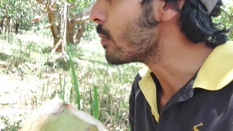 Drinking king coconut 🥥