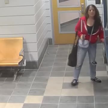 A Connecticut woman was sentenced to 12 years in prison