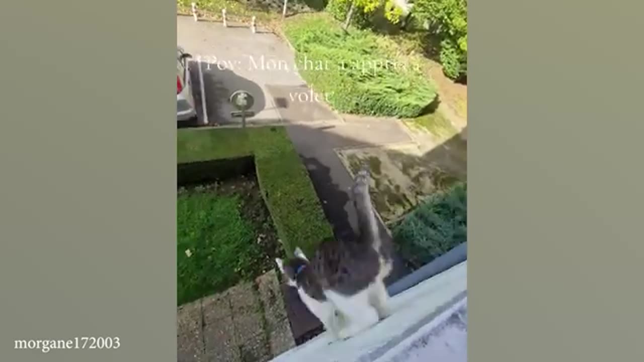 TRY NOT TO LAUGH 😆 Best Funny Videos Compilation 😂😁😆 Memes.