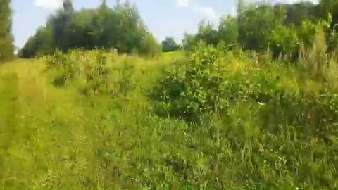 Pierwsze meldunki z naszej misji na granicy z Litwą. Nie wygląda to dobrze.