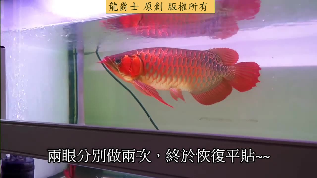 【龍爵士】花絮 外出服務