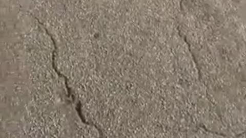 BLACK FEMALE REPEATER HITS MOTORIST, PULLS GUN, GETS KO’ED