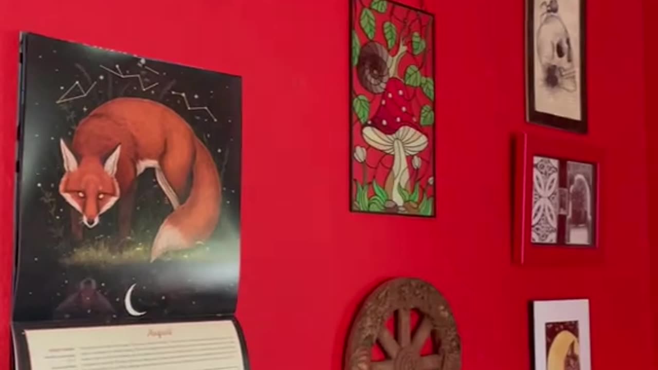 TikTok1