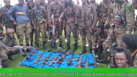 Gabaasa Tarkaanfii ONM-ABO Sadaasa 7-2025 itti dhiyaadhaa!