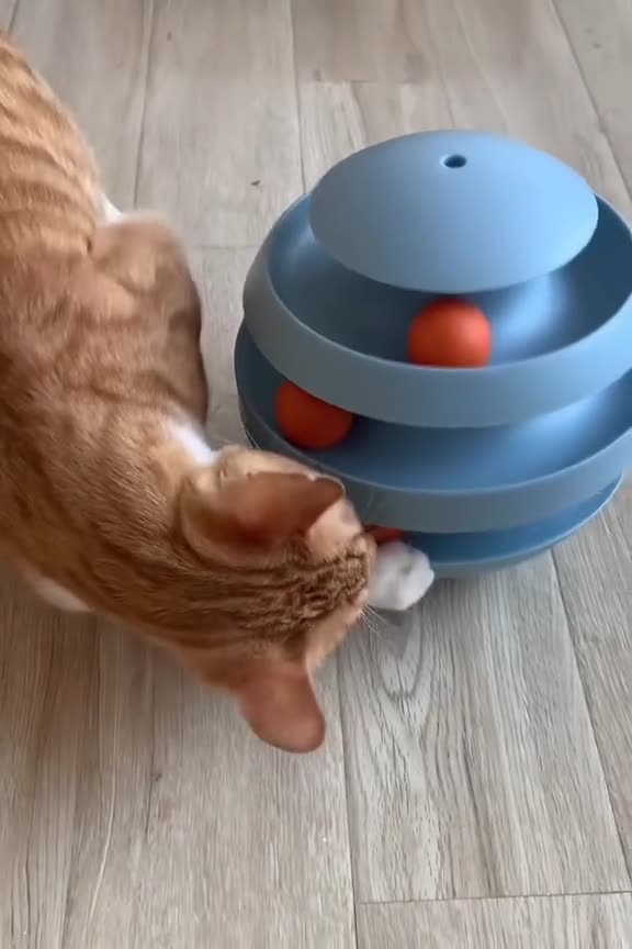 Interactive Tumbler Ball Toys For Cats