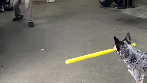 Trick Shots You Can't Do Better