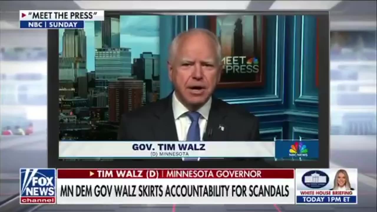 The Fraud Scandals Keep Piling Up in Tampon Tim's Minnesota