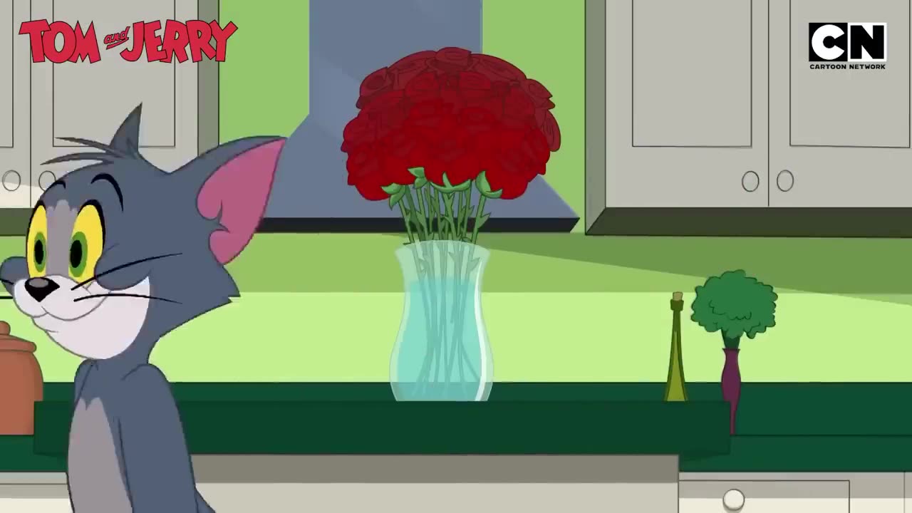 ℹ️ Tom & Jerry 😺🐭