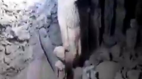 SECRETLY EXPLORERS FIND UNDERGROUND TREASURES IN EGYPT, IN AN UNKNOWN LOCATION FAR FROM THE PYRAMIDS