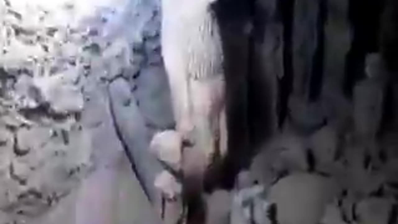 SECRETLY EXPLORERS FIND UNDERGROUND TREASURES IN EGYPT, IN AN UNKNOWN LOCATION FAR FROM THE PYRAMIDS