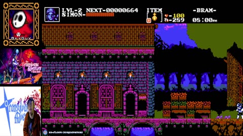 The Transylvania Adventures of Simon's Quest Demo Toxic Crusaders demo maybe a bonus game or more