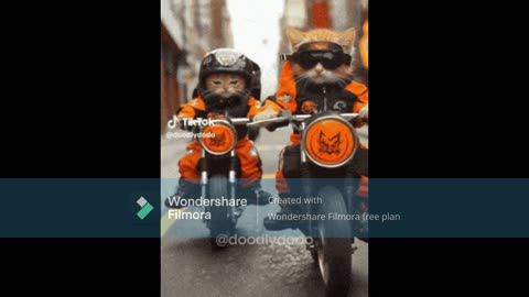 BORN TO RIDE CYLENT ZAM MIX