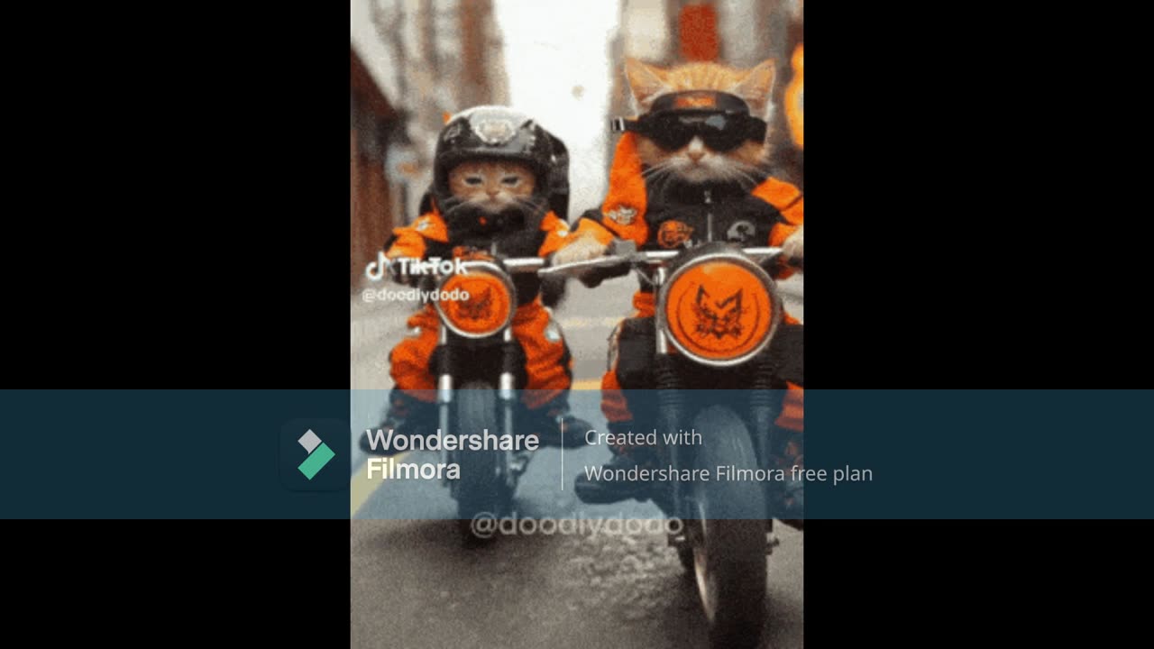 BORN TO RIDE CYLENT ZAM MIX