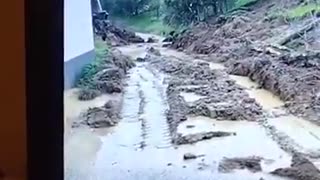 Miran Rubin - Velika šteta - 17.11.2025. u 18:00h