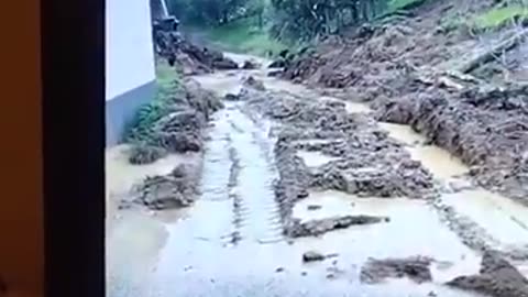 Miran Rubin - Velika šteta - 17.11.2025. u 18:00h