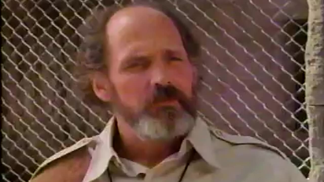 Bill Plays! Square One TV—SEASON 1 EPISODE: 02