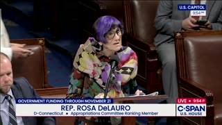 Purple Haired Dem Spends Over A Minute Shrieking At Republicans Over Healthcare