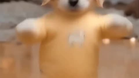 Dancing Puppy Deli 🐶😂 Cute Dog Shows Off Dance Moves