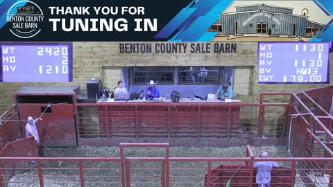 7/24/2025 - Cattle Auction - Benton County Sale Barn