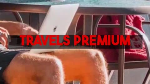 Mighty Travels Premium: Your Walkthrough to Business Class & 5-Star Hotel Deals.