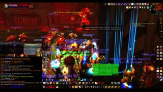 Turtle Wow - Pug MC - 28 August - Paladin POV - The road to Ragnaros eye continues - no commentary