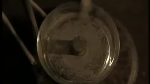 Great Whites: How Michael Faraday Was The First To Make Objects Move with Electricity