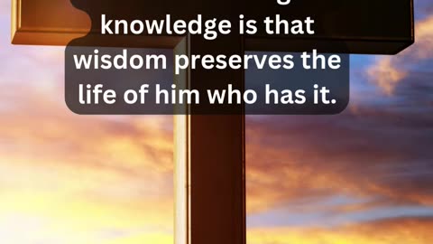 Journey of faith and spiritual growth Ecclesiastes 7:12 Daily Bible Verse
