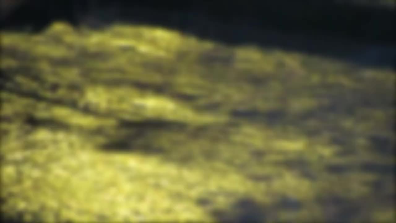 Neutralista u Srbiji 2025 ? Želimo 40% niže cene !