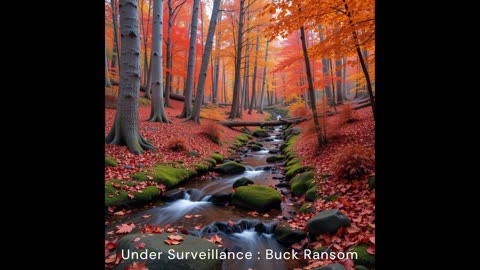 Are You Under Surveillance?